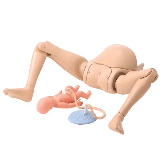 Erler-Zimmer LM114 Gimdymo simuliatorius su padėties nustatymo parinktimi