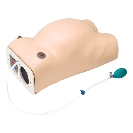 Erler-Zimmer LM43N Nėštumo Tyrimo Modelis