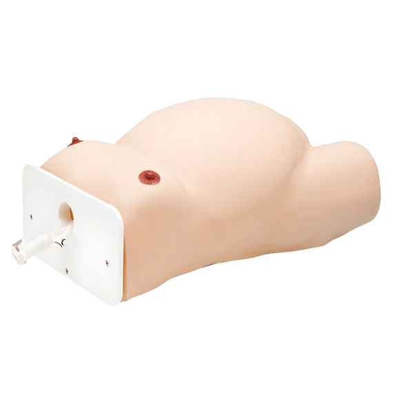 Erler-Zimmer LM80 Išorinis Smegenų Versijos Modelis