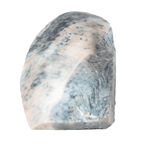 Erler-Zimmer MP2061 Lobarinės Pneumonijos 3D Modelis