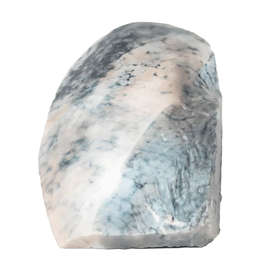 Erler-Zimmer MP2061 Lobarinės Pneumonijos 3D Modelis