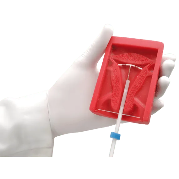 Erler-Zimmer R10127 Intrauterinių Prietaisų Treniruoklis