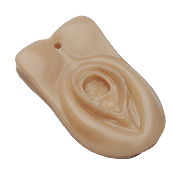 Erler-Zimmer R10910A Epiziotomijos ir Tarpvietės Plyšimo Treniruoklis