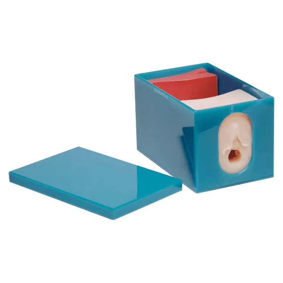 Erler-Zimmer R10925 Vaisiaus Stebėjimo ir Gimdymo Pažangos Modelio Rinkinys
