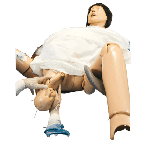 Erler-Zimmer R13300 Motinos ir Naujagimio Gimdymo Simuliatorius "Lucy" Pažangus Komplektas