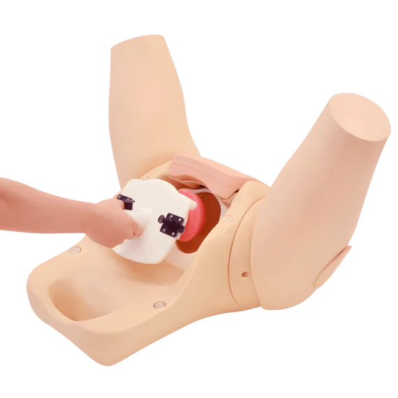 Erler-Zimmer R16160 Gimdos Kaklelio Tyrimo Simuliatorius