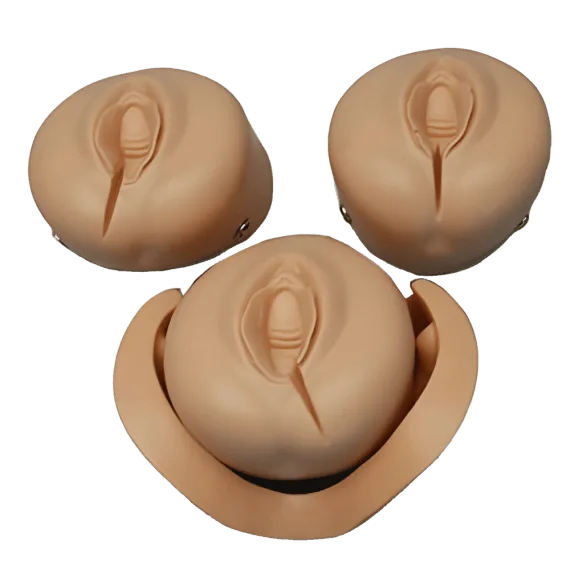 Erler-Zimmer R17840C Pogimdyminio siuvimo treniruoklis