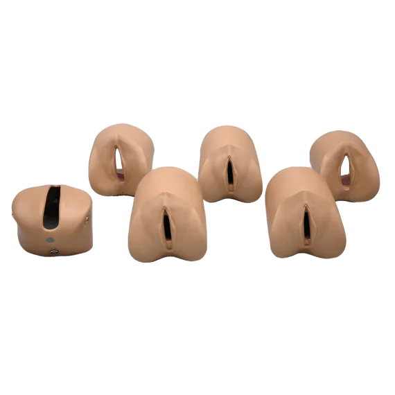 Erler-Zimmer R17840D Gimdymo pristatymo modulis