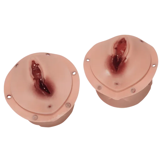 Erler-Zimmer R17860-2 Pogimdyminio epiziotomijos siuvimo treniruoklis