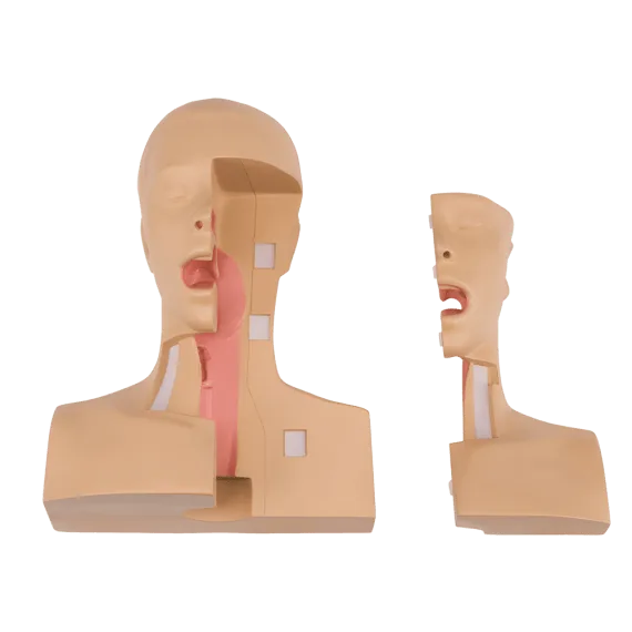 Erler-Zimmer LM106 Tracheostomijos Valdymo Simuliatorius