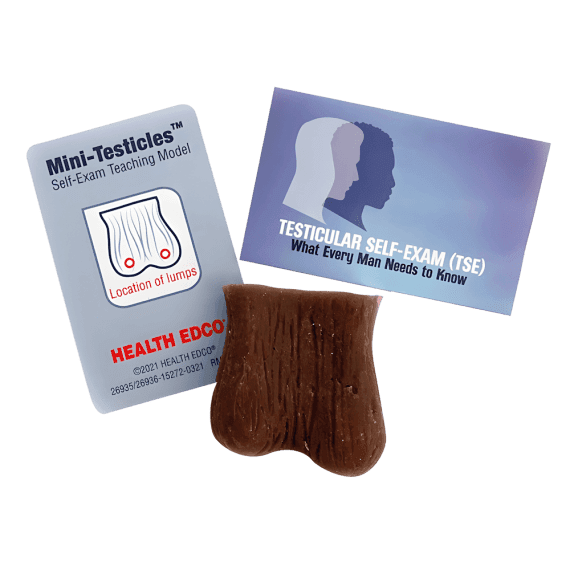 Erler-Zimmer R10065 Sėklidžių Savityros Modelis