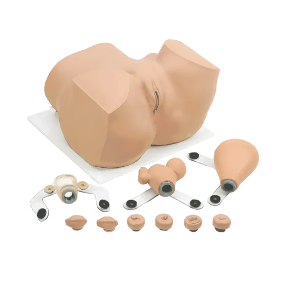 Erler-Zimmer R10182 Ginekologinis Manekenas