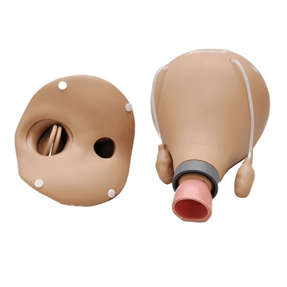 Erler-Zimmer R10183-3 Ginekologinis Simuliatorius