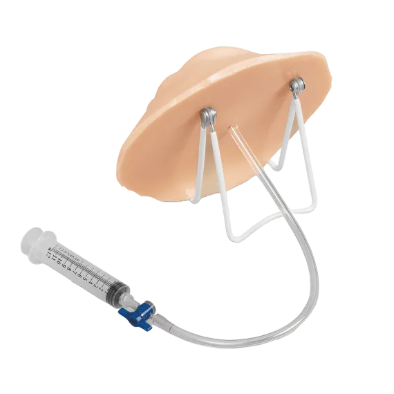 Erler-Zimmer R11040 Atitrauktos Ostomijos Priežiūros Mokymo Modelis