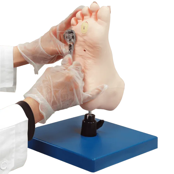 Erler-Zimmer R16080 Medicininės Pėdų Priežiūros Modelis