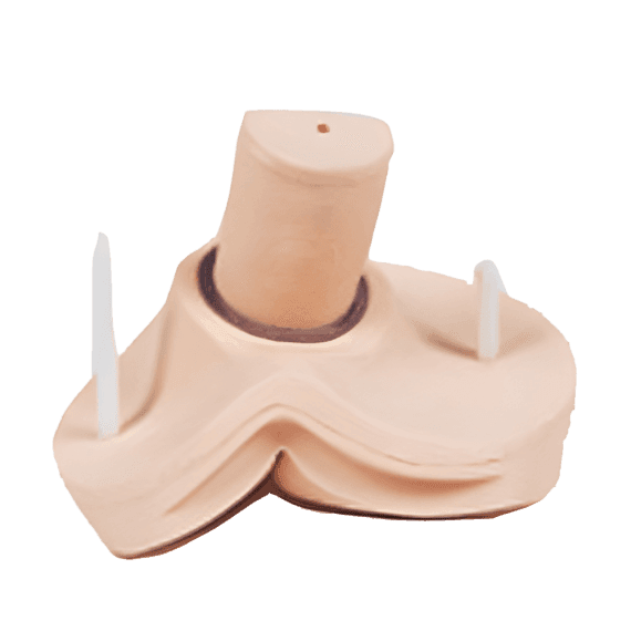 Erler-Zimmer R16240 Tiesiosios Žarnos Tyrimo Modelis