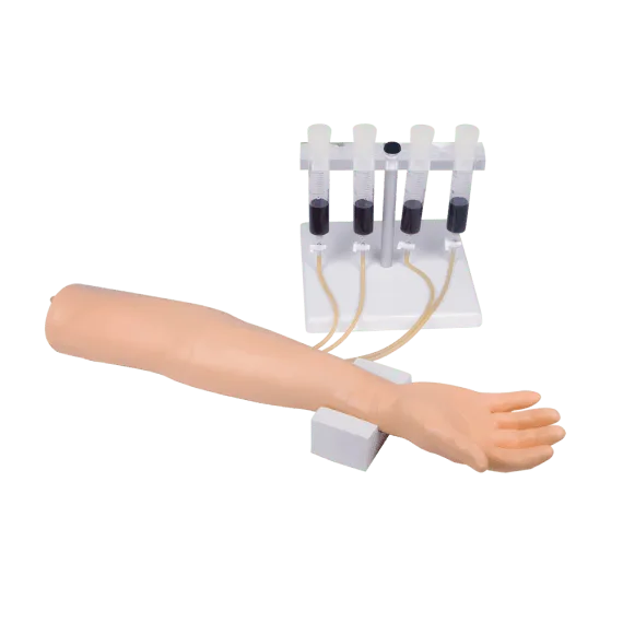 Erler-Zimmer 7010 Intraveninės Injekcijos ir Infuzijos Treniruoklis