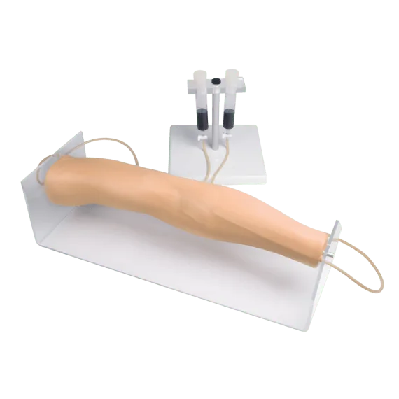 Erler-Zimmer 7020 Intraveninės Injekcijos Treniruoklis