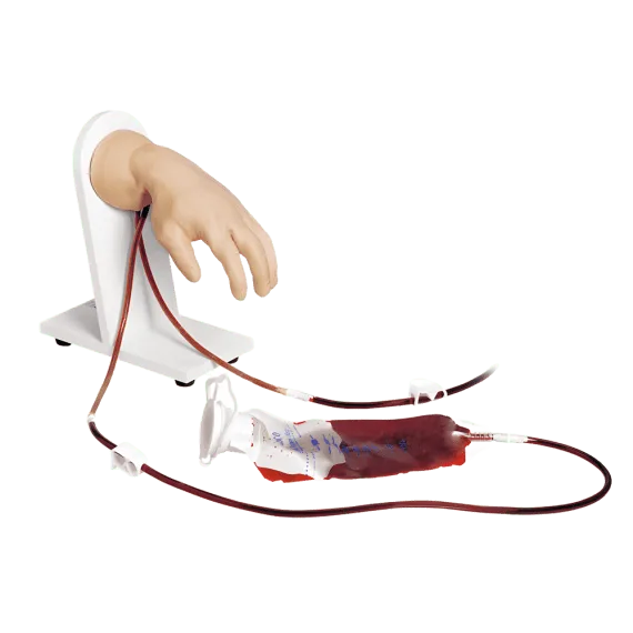 Erler-Zimmer R10005 Rankos Intraveninės Injekcijos Treniruoklis