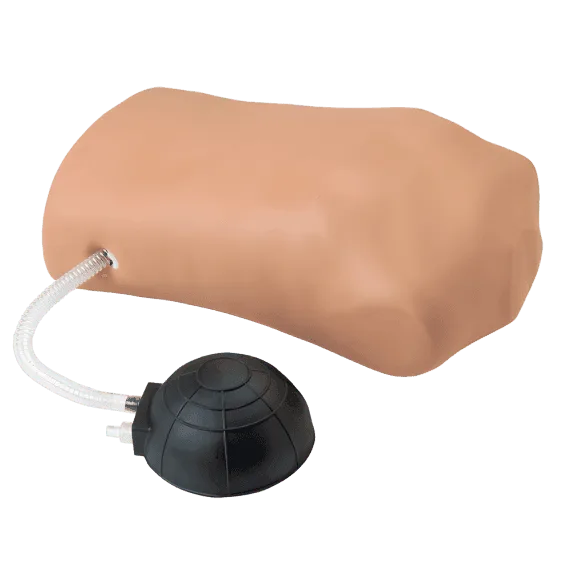 Erler-Zimmer R10037 Pneumotorakso Treniruočių Manekenas