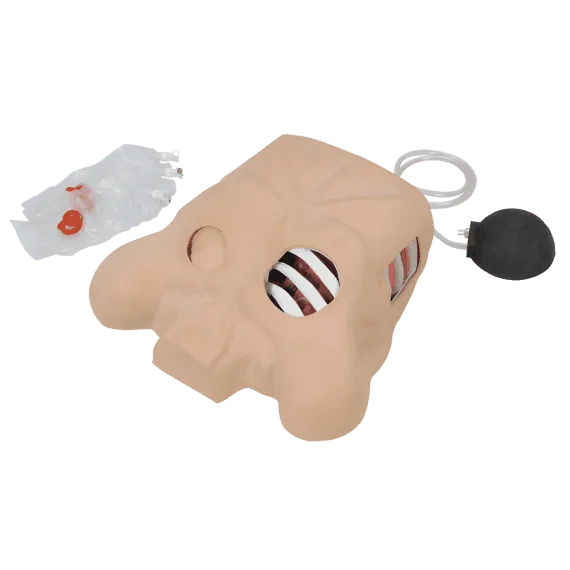 Erler-Zimmer R10130 Krūtinės Manekenas
