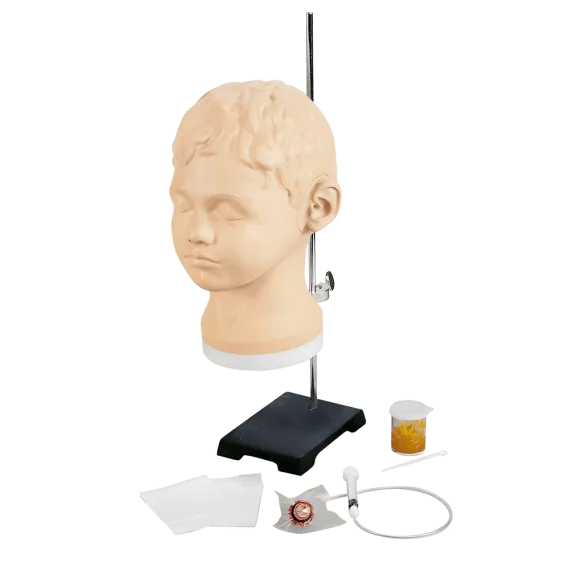 Erler-Zimmer R10900 Diagnostinis ir Procedūrinis Ausų Treniruoklis