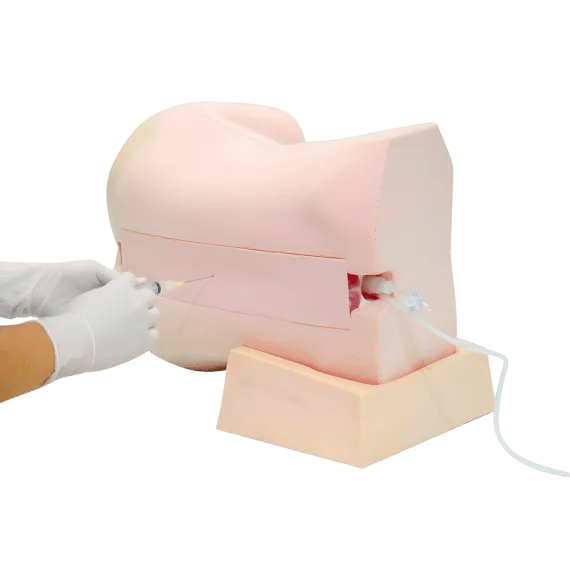Erler-Zimmer R16603 Epidurinės Anestezijos Simuliatorius
