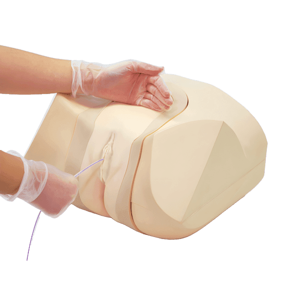 Erler-Zimmer R16645 Moterų Kateterizavimo ir Enemos Simuliatorius