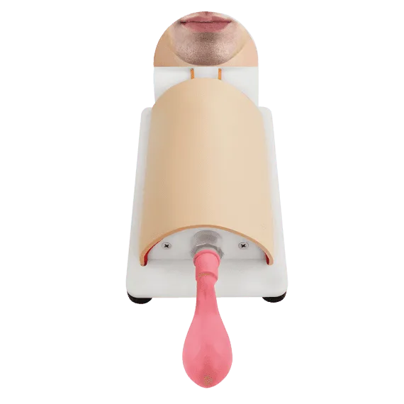 Erler-Zimmer R67130 Krikotirotomijos Treniruoklis