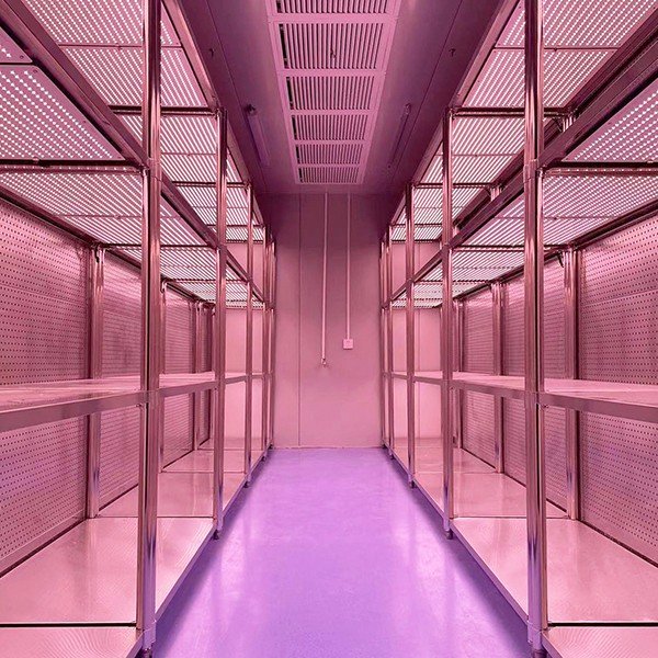 Įeinamosios augalų auginimo kameros (Walk-In Plant Growth Rooms) - Paveikslėlis 4